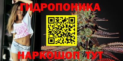 стаф Рыбинск