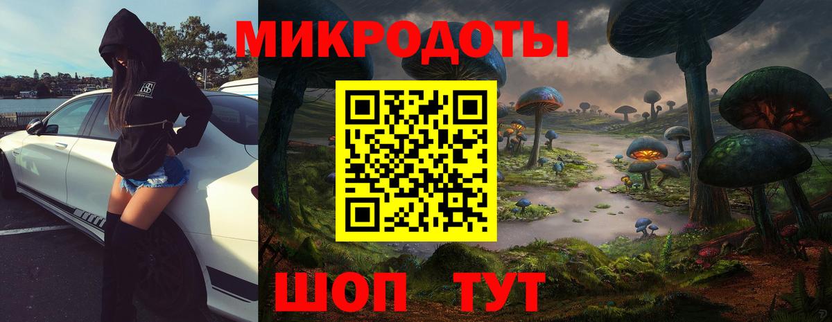 Галлюциногенные грибы Cubensis  Вход с VPN  Серов 